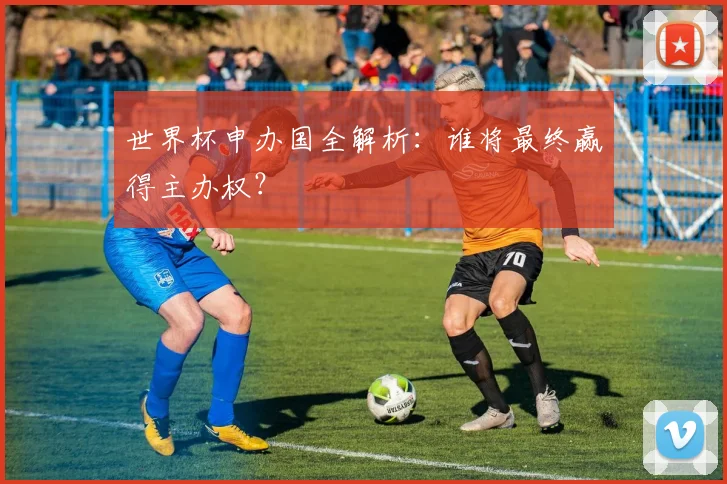 世界杯申办国全解析：谁将最终赢得主办权？