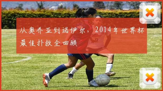从奥乔亚到诺伊尔，2014年世界杯最佳扑救全回顾