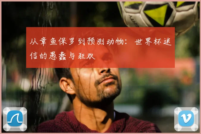 从章鱼保罗到预测动物:世界杯迷信的愚蠢与狂欢