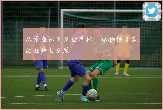 从章鱼保罗看世界杯:动物预言家的狂热与反思