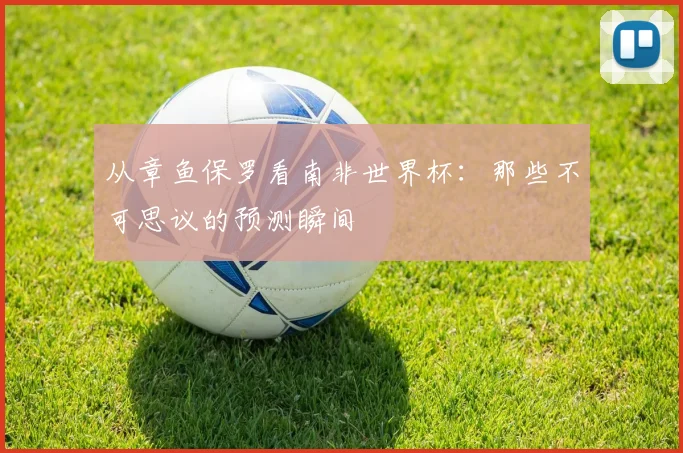 从章鱼保罗看南非世界杯:那些不可思议的预测瞬间