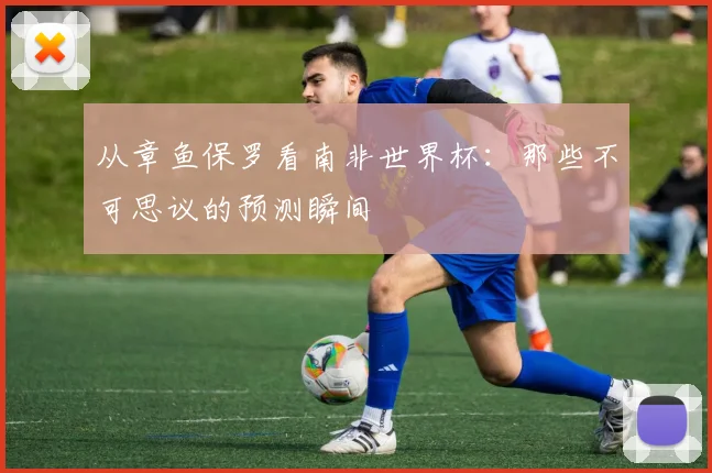 从章鱼保罗看南非世界杯:那些不可思议的预测瞬间