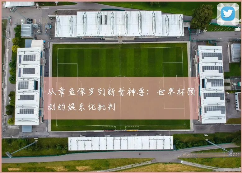 从章鱼保罗到新晋神兽:世界杯预测的娱乐化批判