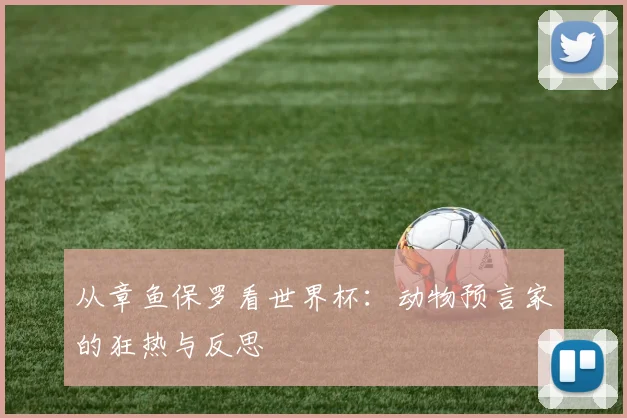 从章鱼保罗看世界杯:动物预言家的狂热与反思